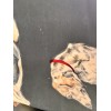 CARRÉ HERMÈS : CHIENS DE MEUTE